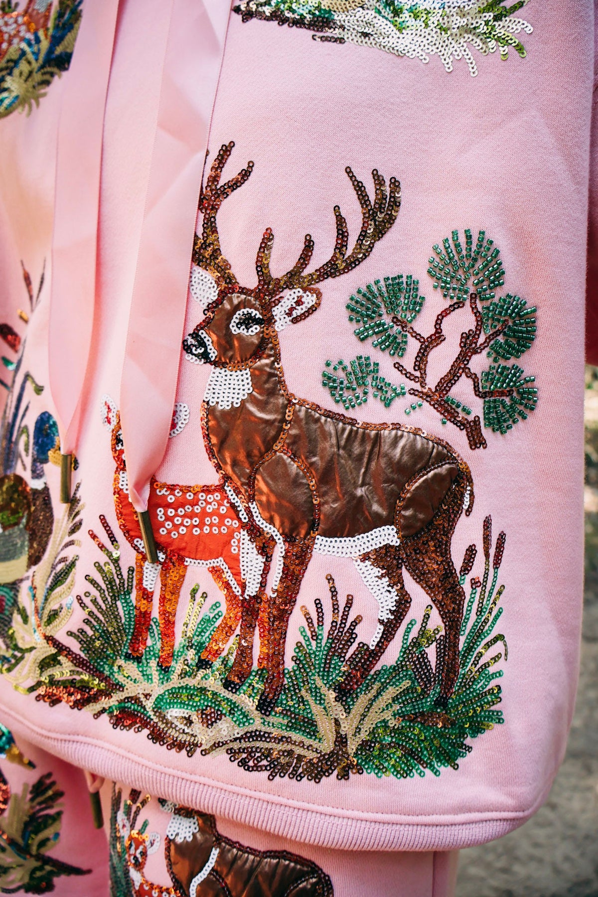 Bucks and Birds Hoodie